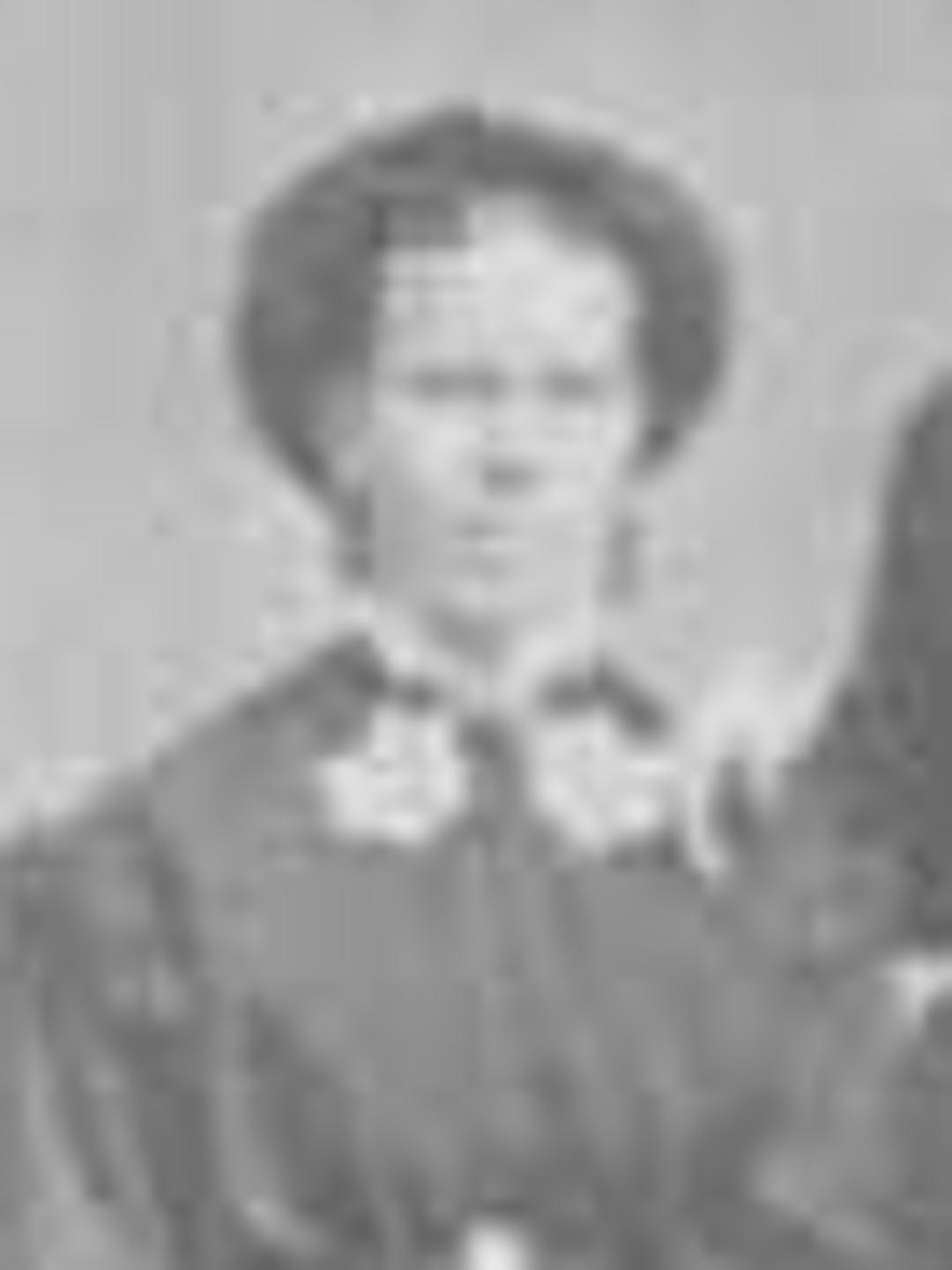 Elizabeth Wardle (1836 - 1907) Profile